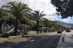 funchal1-4