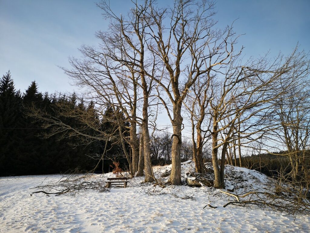 Paseky nad Jizerou