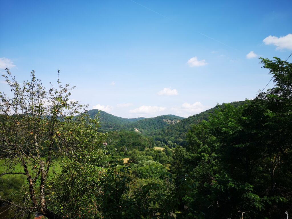 Pohled na zříceninu