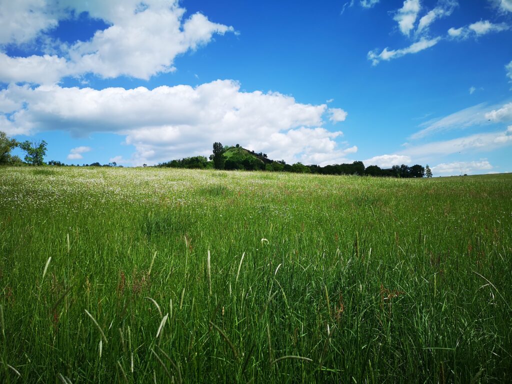 Jičín a okolí