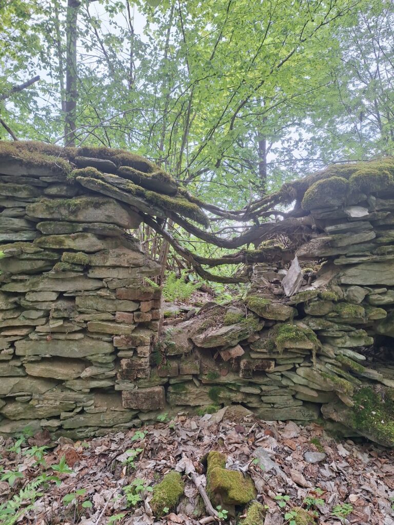 Bývalý Ferdinandov, Jeseníky